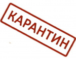 У В А Г А ! У В А Г А !
