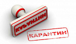 ❗️ВАЖНАЯ ИНФОРМАЦИЯ❗️